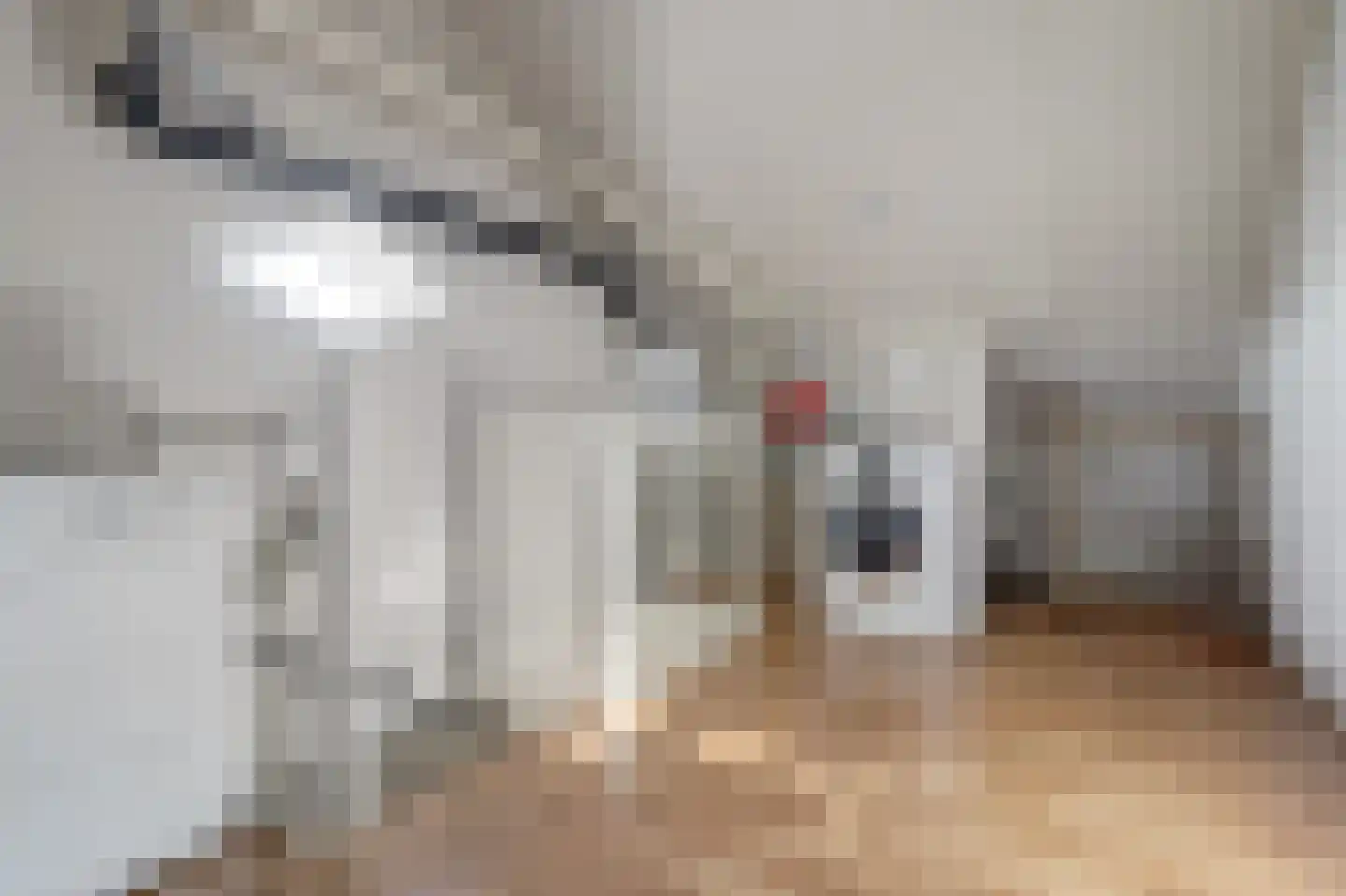 Dadelgaarde 28 Hendrik-Ido-Ambacht thumbnail 33
