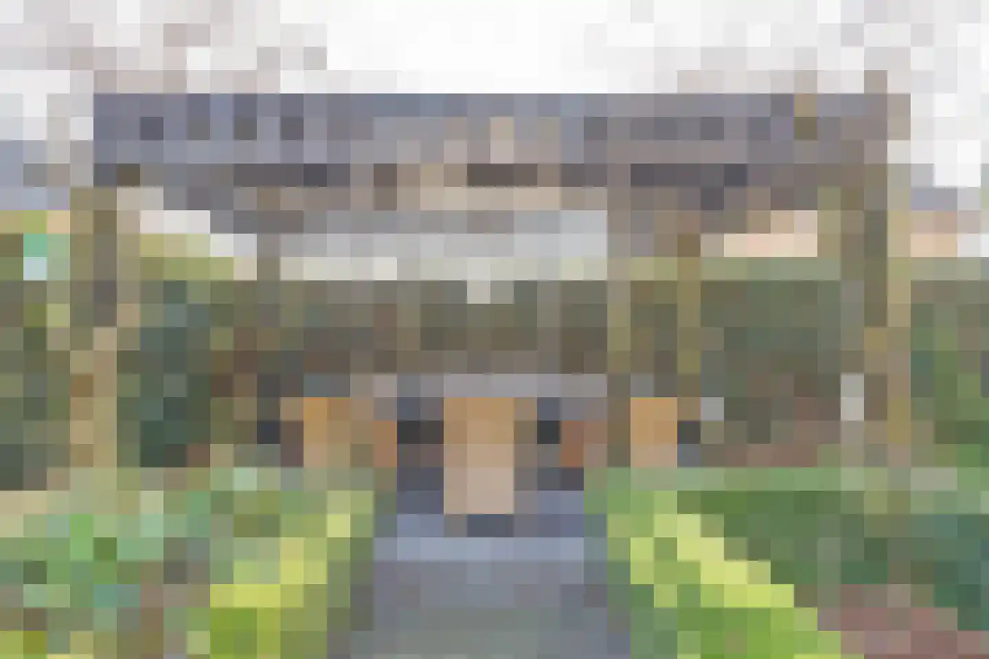 Dadelgaarde 28 Hendrik-Ido-Ambacht thumbnail 42