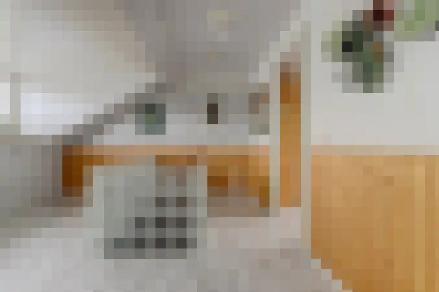 Dadelgaarde 39 Hendrik-Ido-Ambacht thumbnail 24