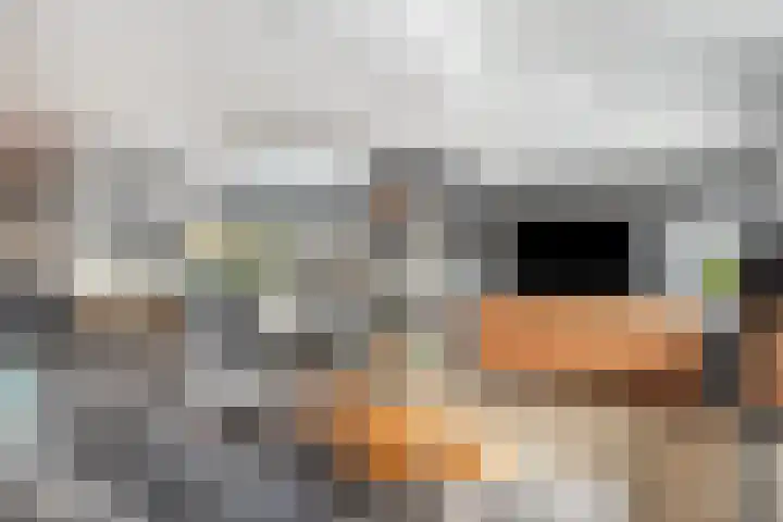 Dadelgaarde 57 Hendrik-Ido-Ambacht thumbnail 11