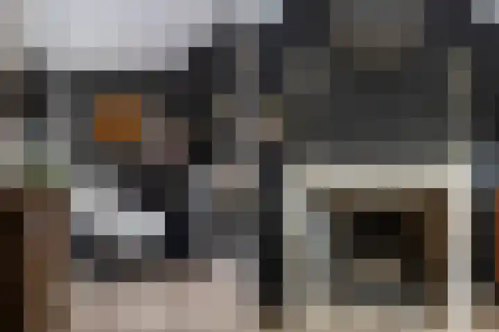Dadelgaarde 57 Hendrik-Ido-Ambacht thumbnail 12