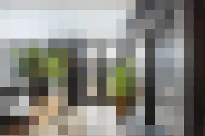 Dadelgaarde 57 Hendrik-Ido-Ambacht thumbnail 15