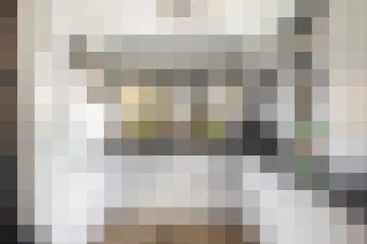 Dadelgaarde 57 Hendrik-Ido-Ambacht thumbnail 17