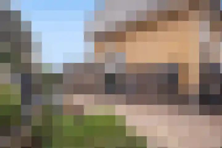 Dadelgaarde 57 Hendrik-Ido-Ambacht thumbnail 34