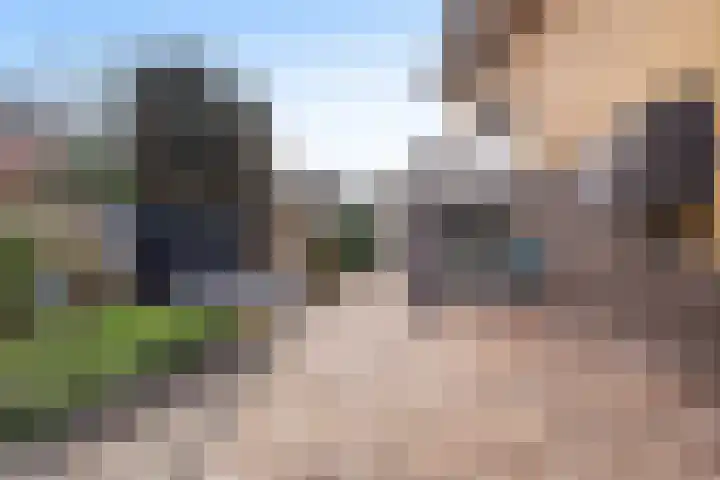 Dadelgaarde 57 Hendrik-Ido-Ambacht thumbnail 36
