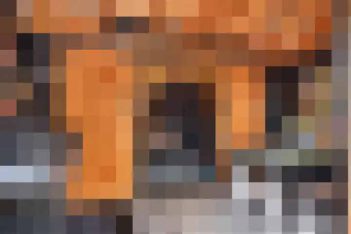 Dadelgaarde 57 Hendrik-Ido-Ambacht thumbnail 39