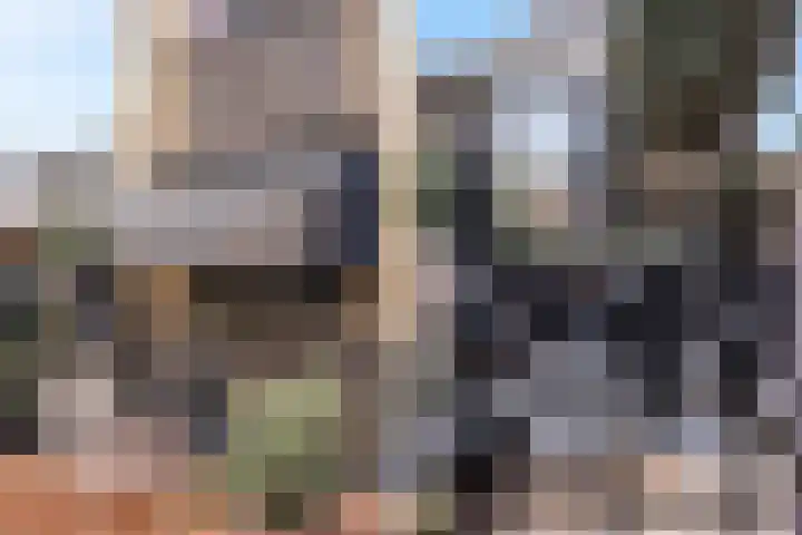 Dadelgaarde 57 Hendrik-Ido-Ambacht thumbnail 4