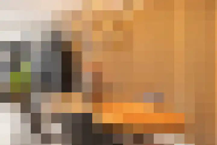 Dadelgaarde 57 Hendrik-Ido-Ambacht thumbnail 8