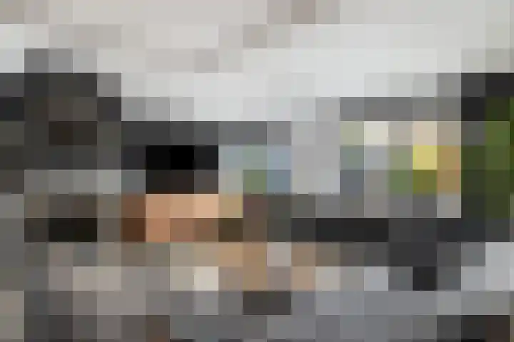 Dadelgaarde 57 Hendrik-Ido-Ambacht thumbnail 9