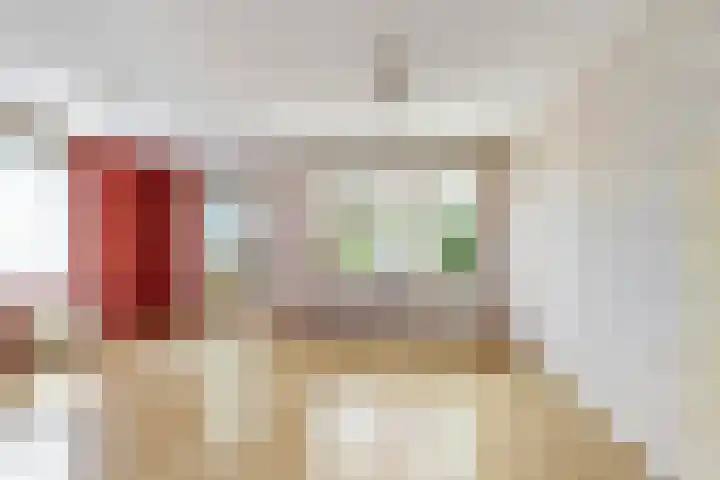Dadelgaarde 69 Hendrik-Ido-Ambacht thumbnail 10