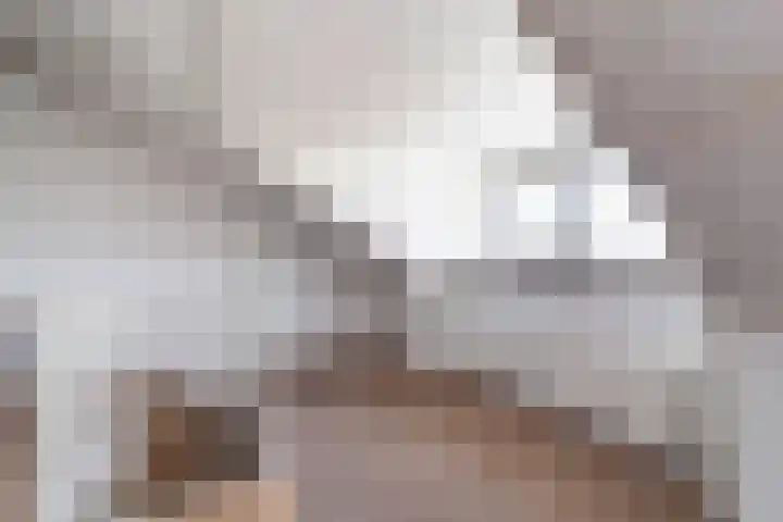 Dadelgaarde 69 Hendrik-Ido-Ambacht thumbnail 18