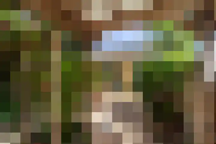 Dadelgaarde 69 Hendrik-Ido-Ambacht thumbnail 24