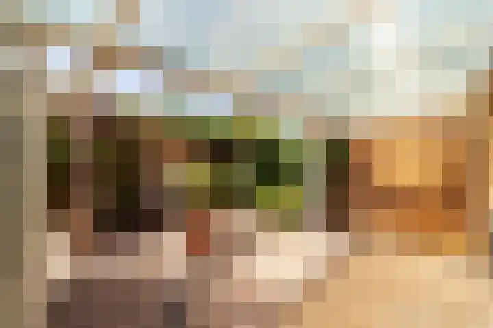 Dadelgaarde 69 Hendrik-Ido-Ambacht thumbnail 25