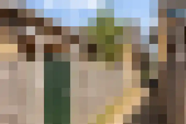 Dadelgaarde 69 Hendrik-Ido-Ambacht thumbnail 27