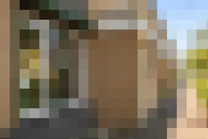 Dadelgaarde 69 Hendrik-Ido-Ambacht thumbnail 28