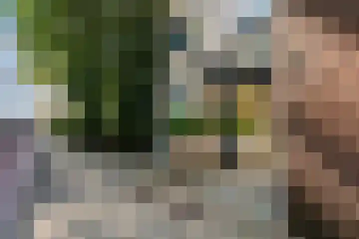 Dadelgaarde 69 Zoetermeer thumbnail 10