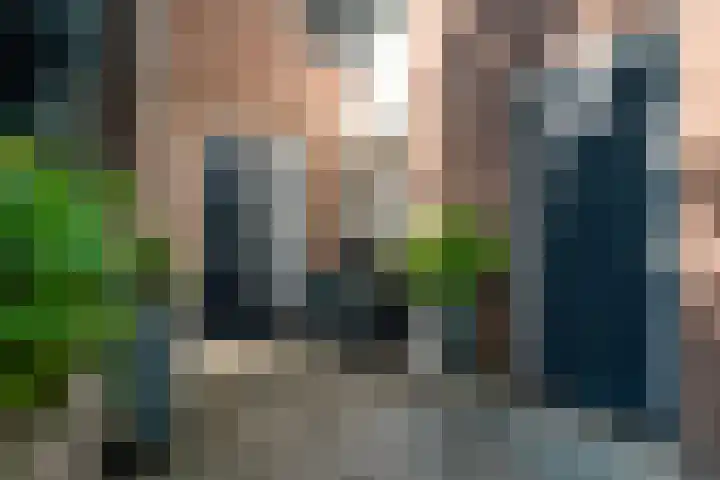 Dadelgaarde 69 Zoetermeer thumbnail 12