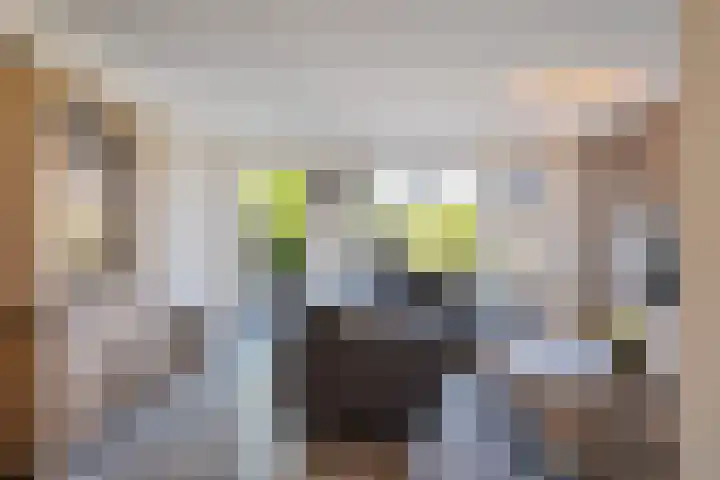Dadelgaarde 69 Zoetermeer thumbnail 17