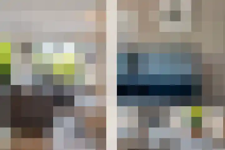 Dadelgaarde 69 Zoetermeer thumbnail 18