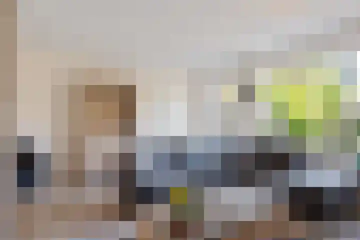 Dadelgaarde 69 Zoetermeer thumbnail 19