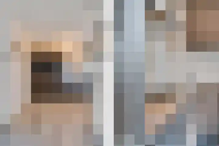 Dadelgaarde 69 Zoetermeer thumbnail 22