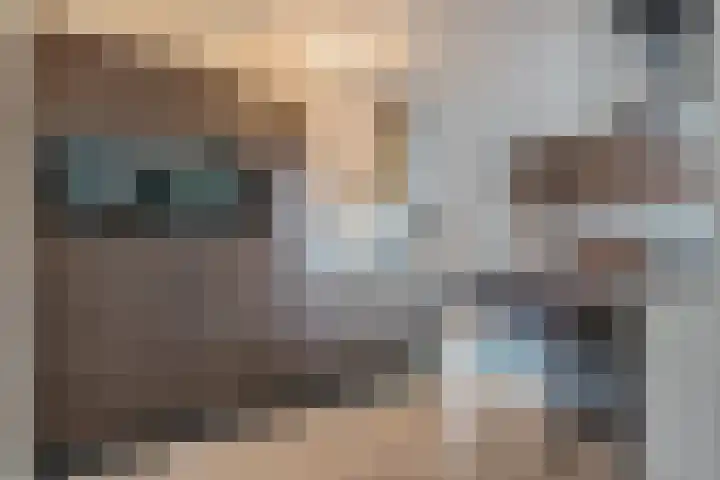 Dadelgaarde 69 Zoetermeer thumbnail 23