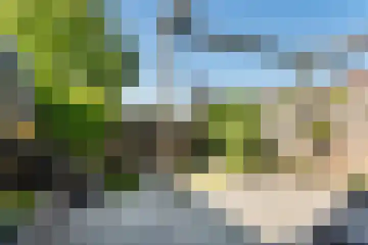 Dadelgaarde 69 Zoetermeer thumbnail 27