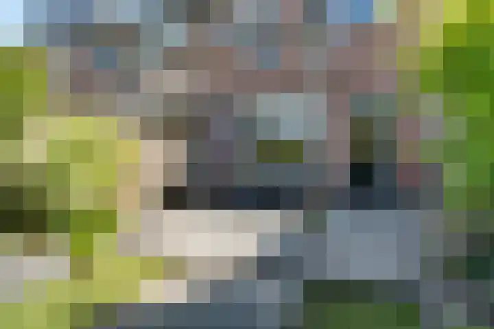 Dadelgaarde 69 Zoetermeer thumbnail 28