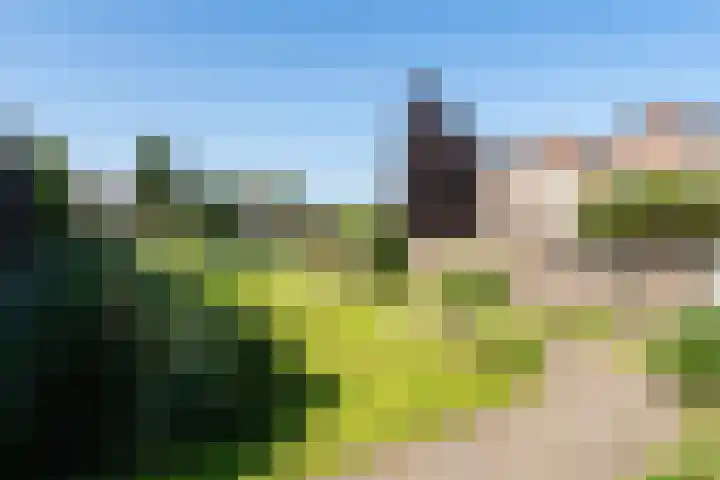 Dadelgaarde 69 Zoetermeer thumbnail 31