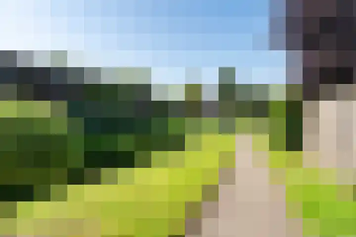 Dadelgaarde 69 Zoetermeer thumbnail 32
