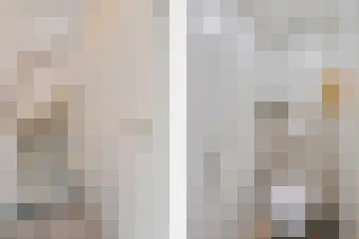Dadelgaarde 69 Zoetermeer thumbnail 33
