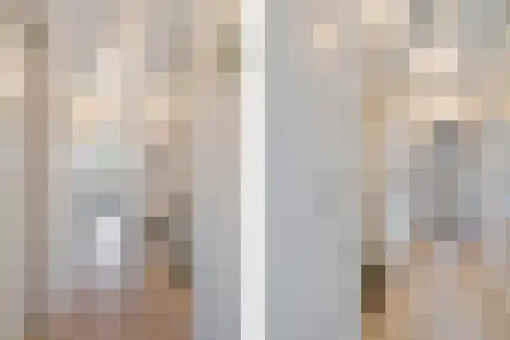 Dadelgaarde 69 Zoetermeer thumbnail 34