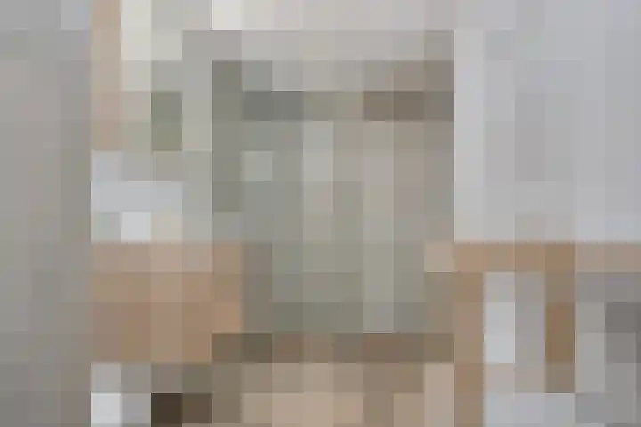 Dadelgaarde 69 Zoetermeer thumbnail 38