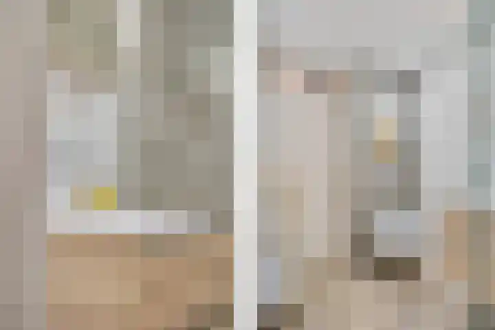 Dadelgaarde 69 Zoetermeer thumbnail 39