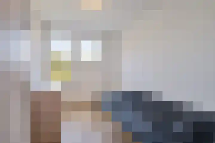 Dadelgaarde 69 Zoetermeer thumbnail 40