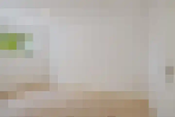 Dadelgaarde 69 Zoetermeer thumbnail 42