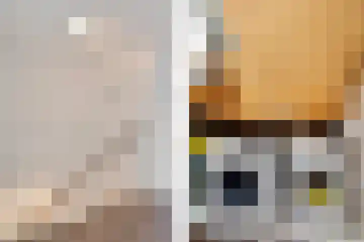 Dadelgaarde 69 Zoetermeer thumbnail 49