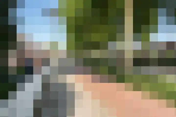 Dadelgaarde 69 Zoetermeer thumbnail 5