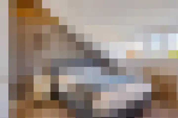 Dadelgaarde 69 Zoetermeer thumbnail 50