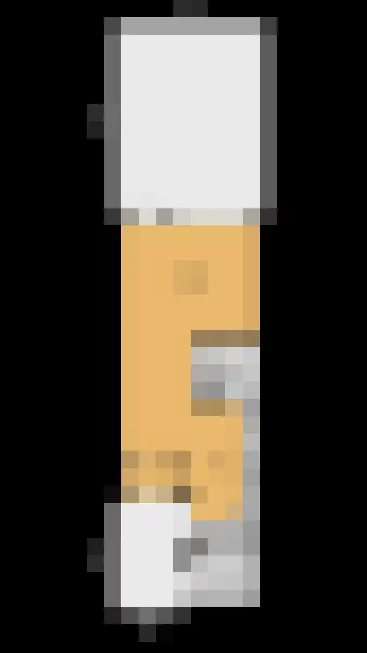 Dadelgaarde 69 Zoetermeer thumbnail 59