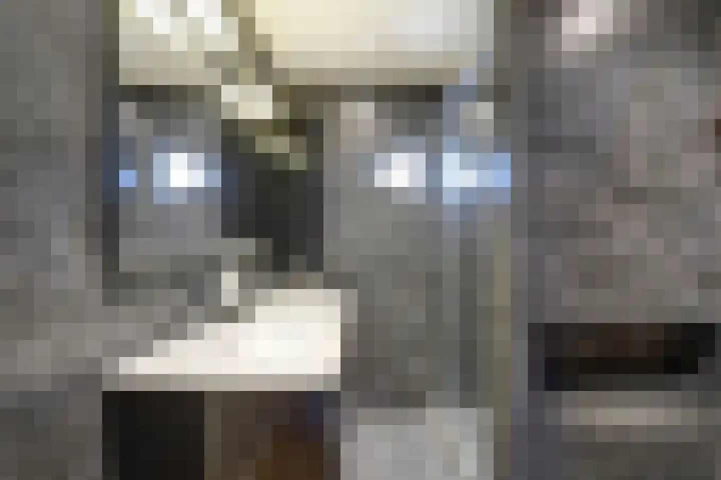 Dadelgaarde 89 Hendrik-Ido-Ambacht thumbnail 22