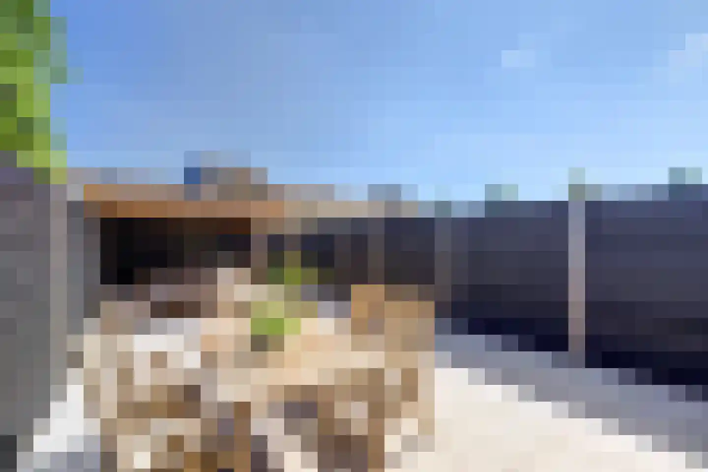 Dadelgaarde 89 Hendrik-Ido-Ambacht thumbnail 32