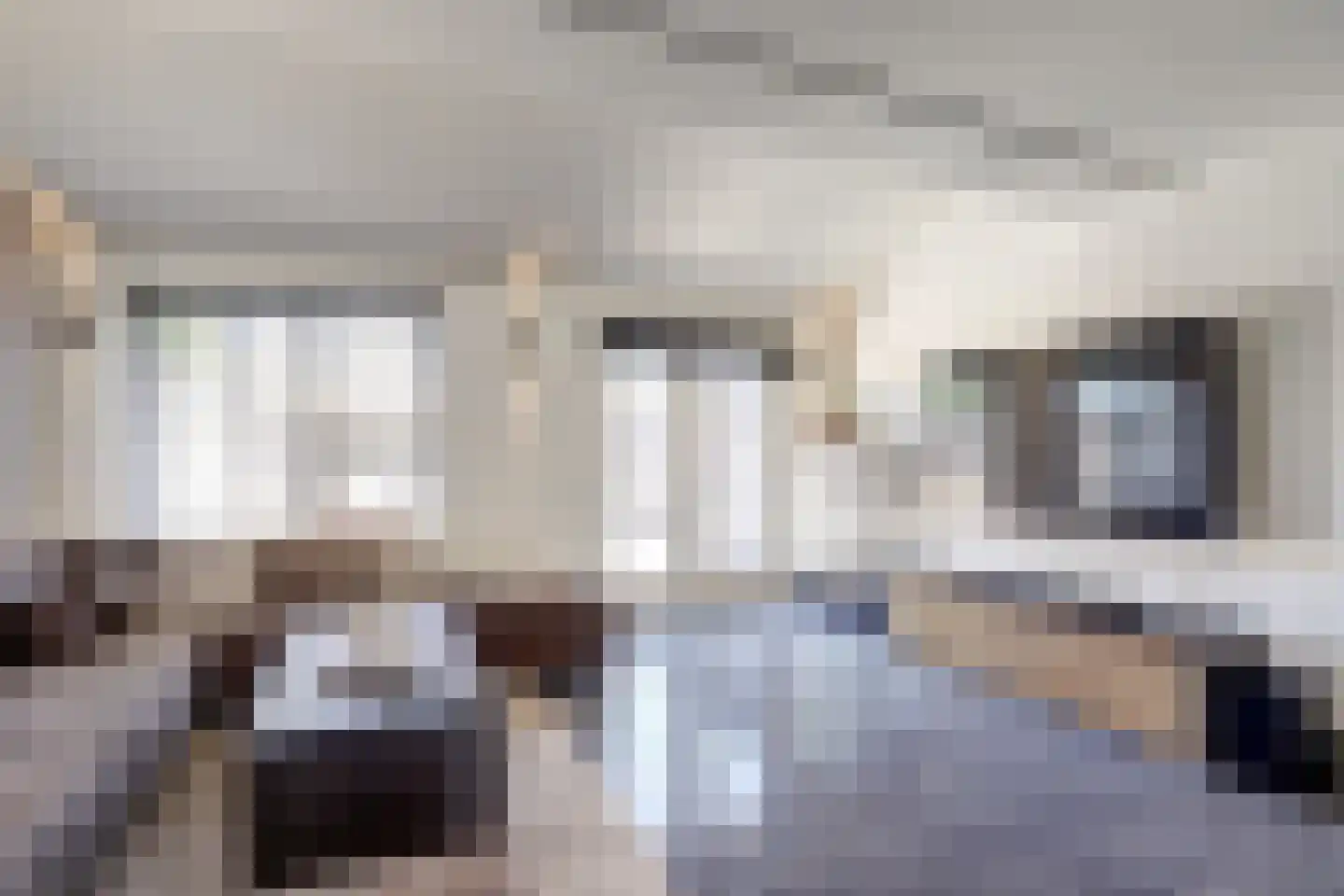 Dadelgaarde 89 Hendrik-Ido-Ambacht thumbnail 7