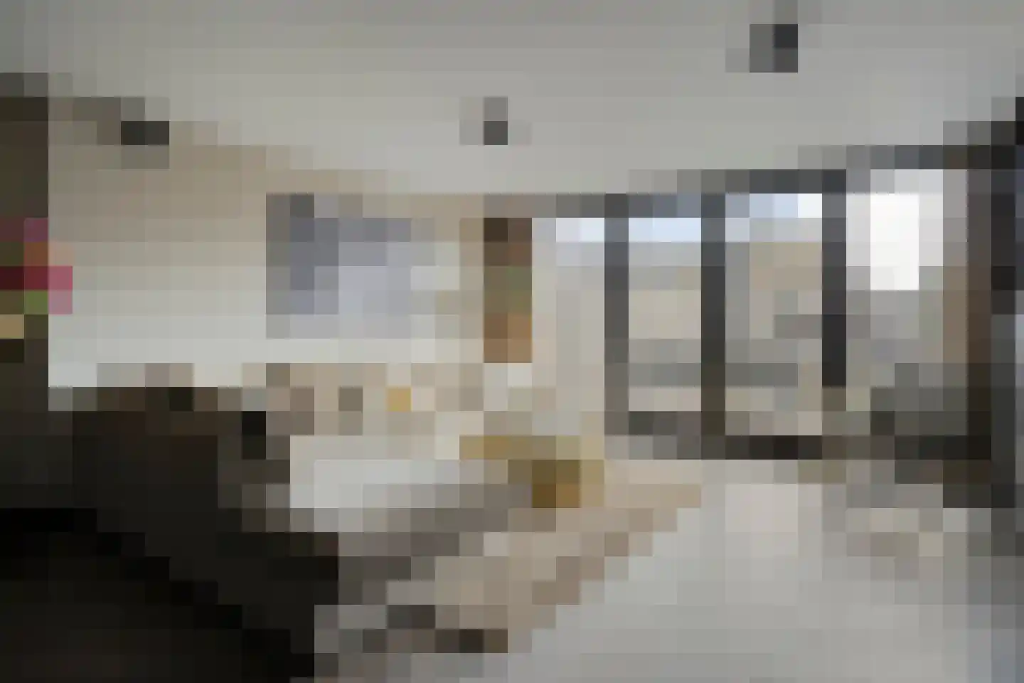 Dadelgaarde 99 Hendrik-Ido-Ambacht thumbnail 10