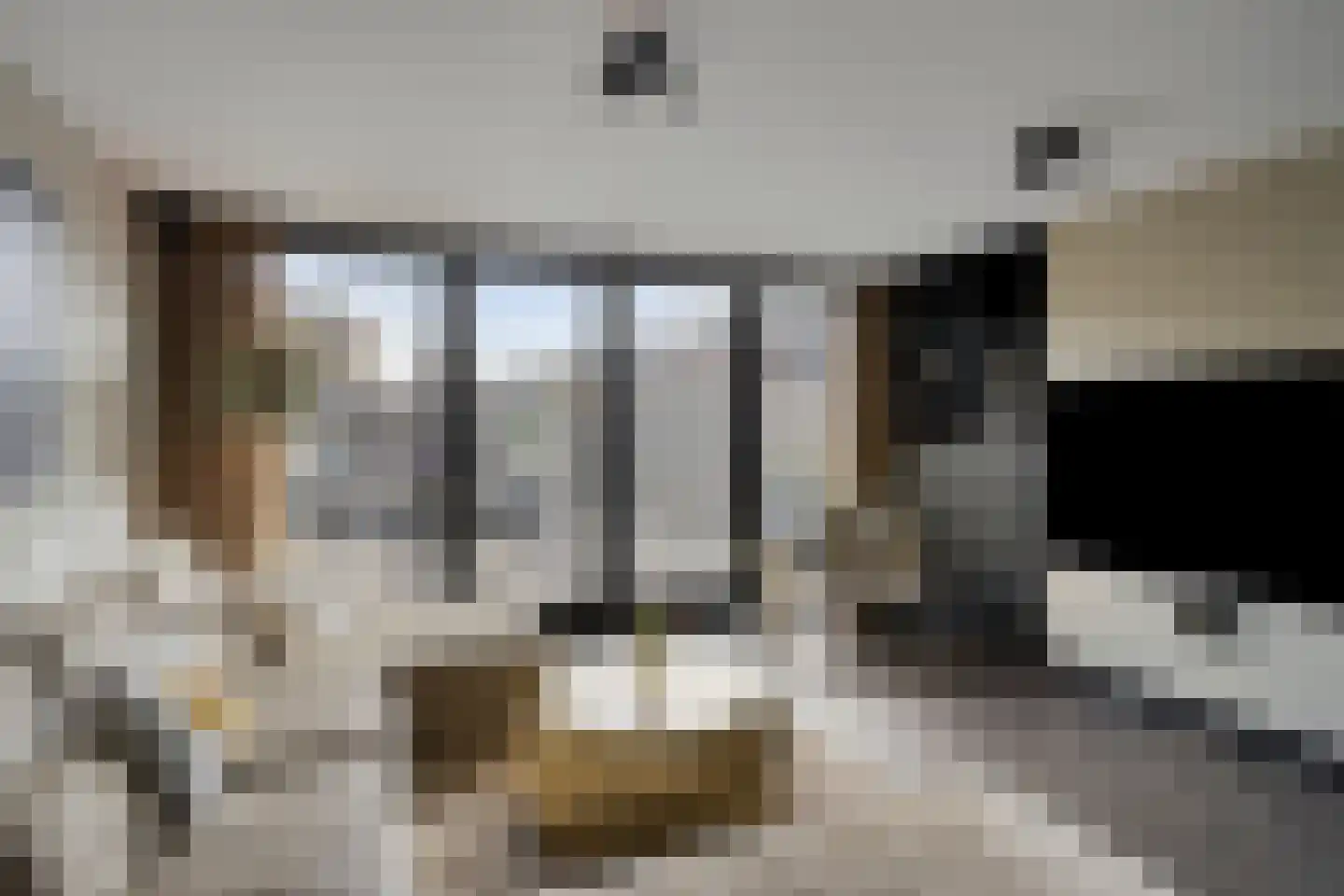 Dadelgaarde 99 Hendrik-Ido-Ambacht thumbnail 11