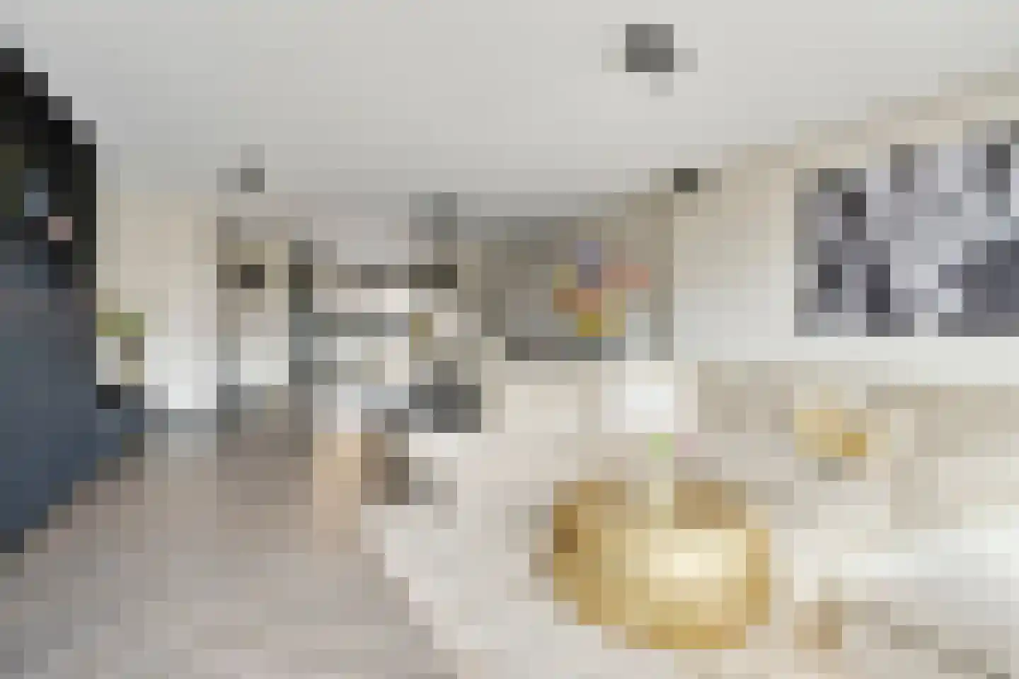 Dadelgaarde 99 Hendrik-Ido-Ambacht thumbnail 12