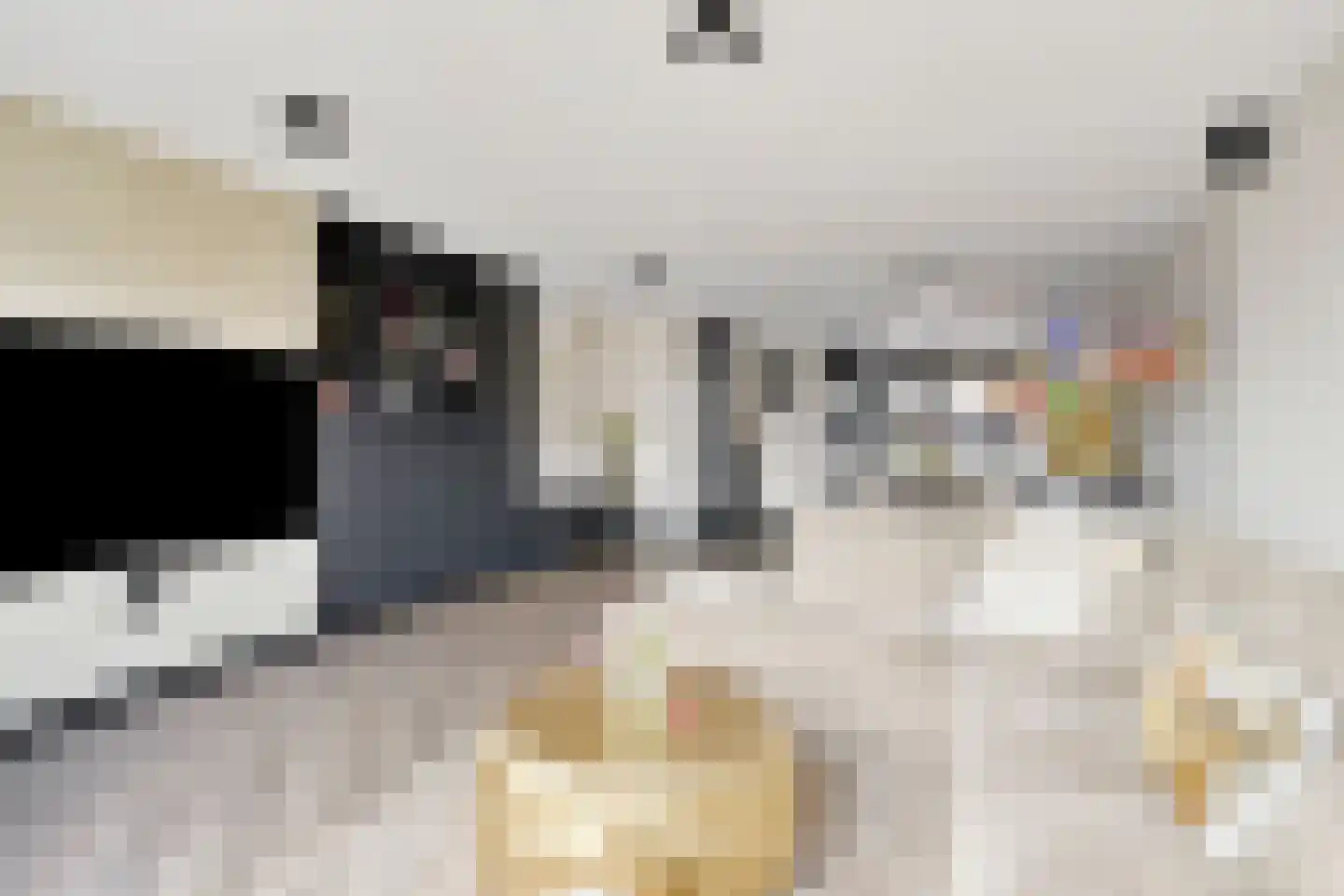 Dadelgaarde 99 Hendrik-Ido-Ambacht thumbnail 13