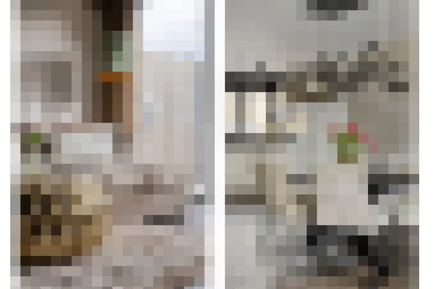 Dadelgaarde 99 Hendrik-Ido-Ambacht thumbnail 17