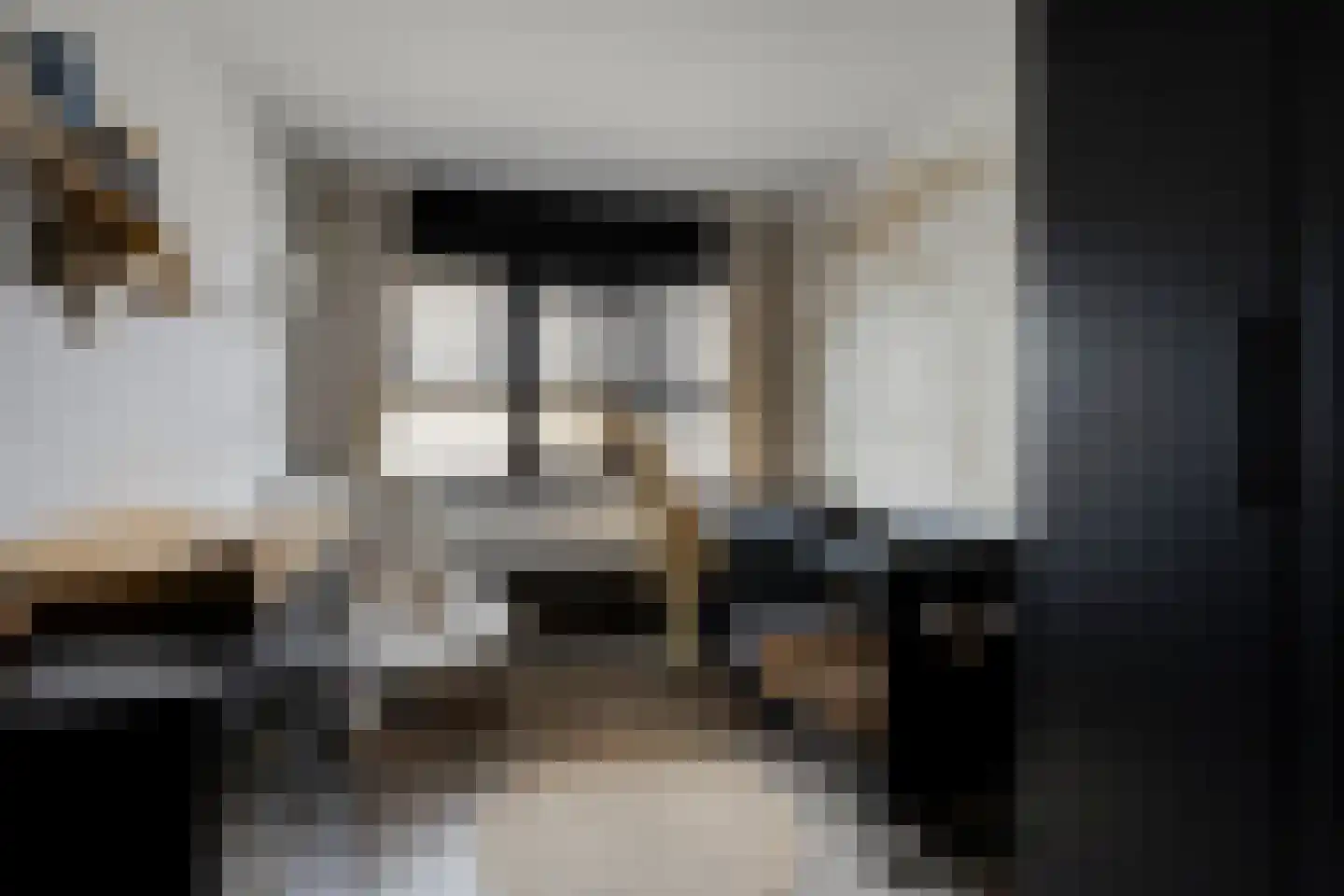 Dadelgaarde 99 Hendrik-Ido-Ambacht thumbnail 30