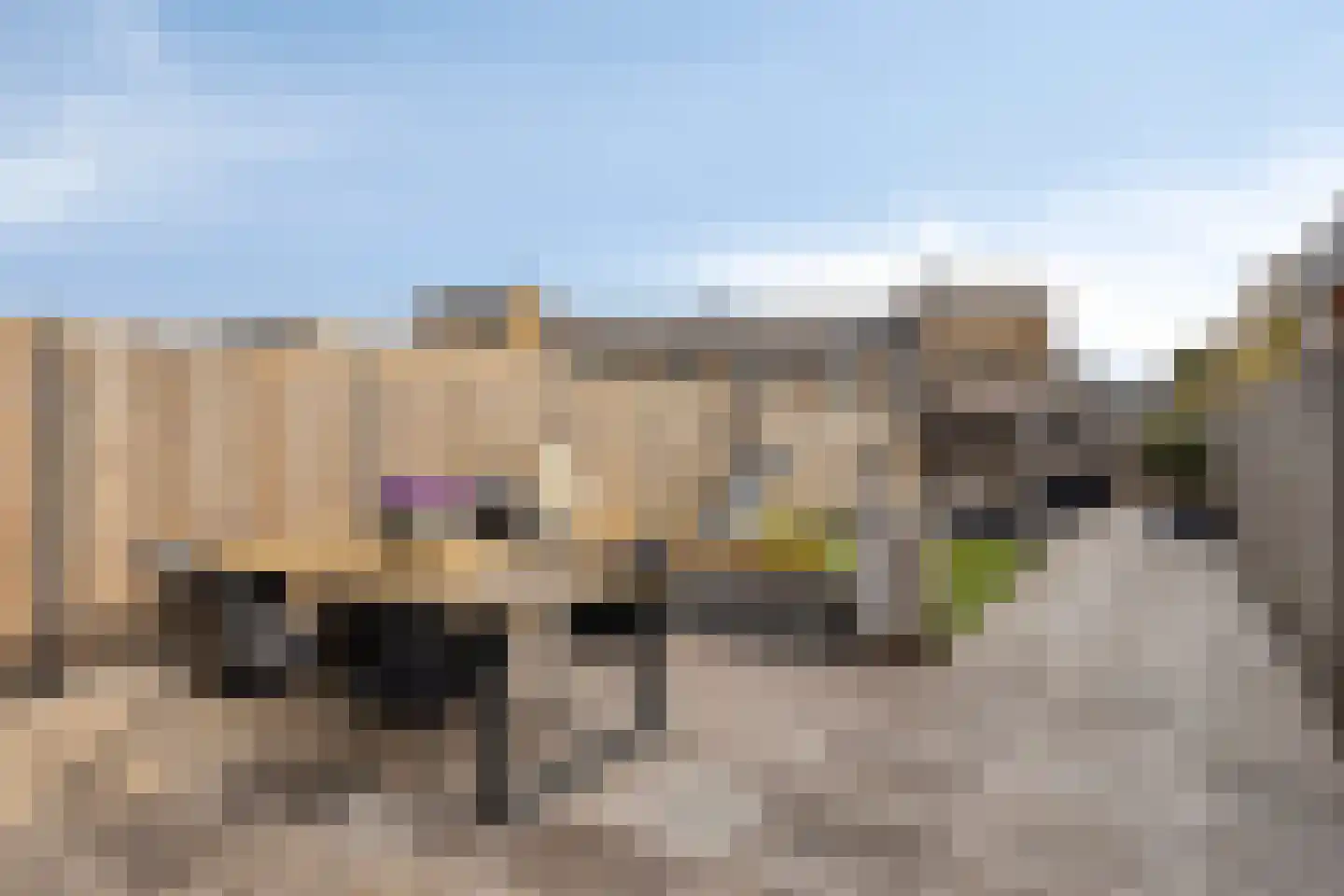 Dadelgaarde 99 Hendrik-Ido-Ambacht thumbnail 37